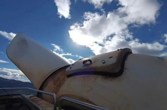 1765356949149494.png image.png